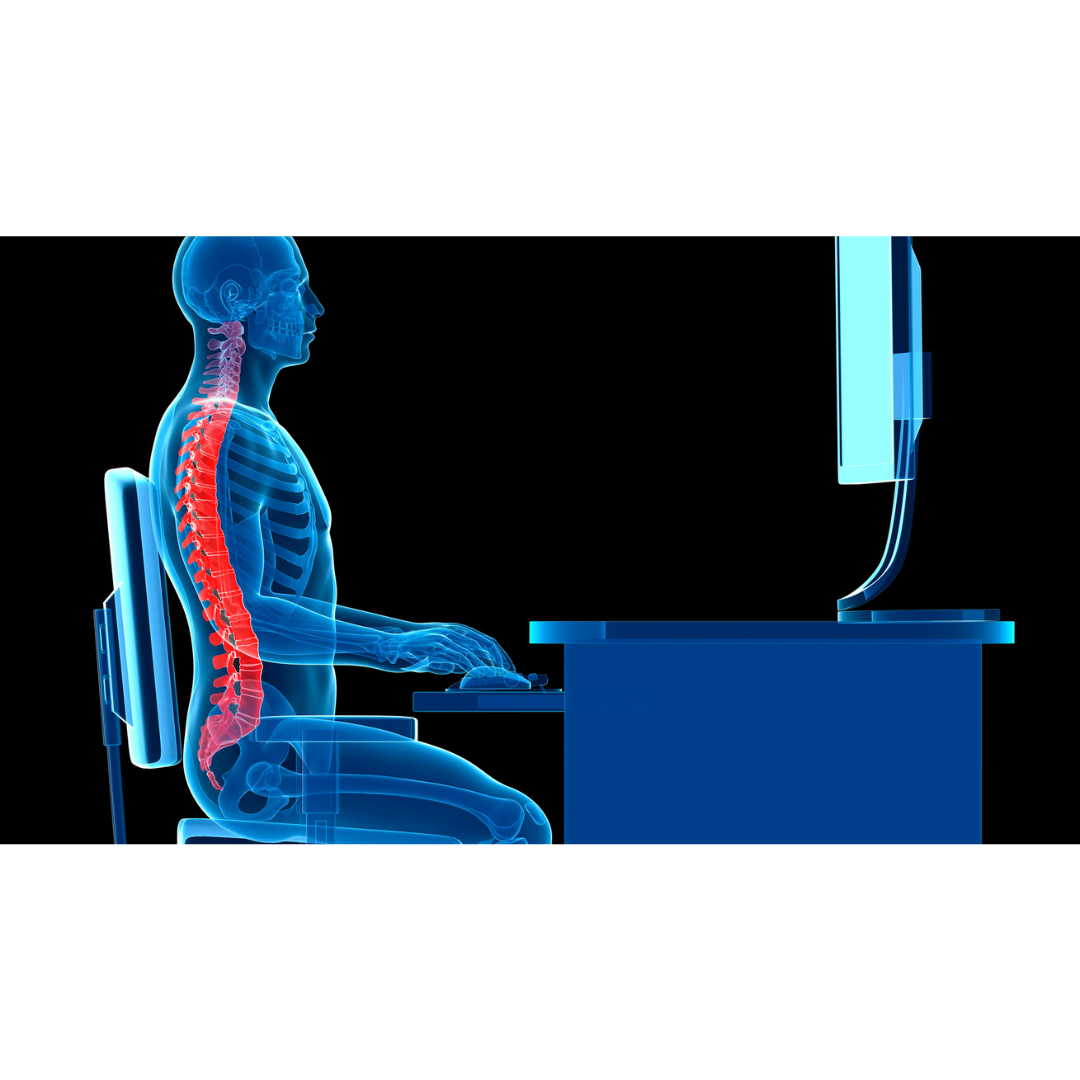 A Guide To Ergonomic Wooden Office Chairs